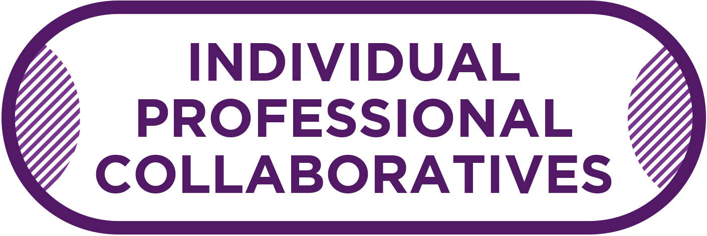 Individual Professional Collaboratives inside a rectangle