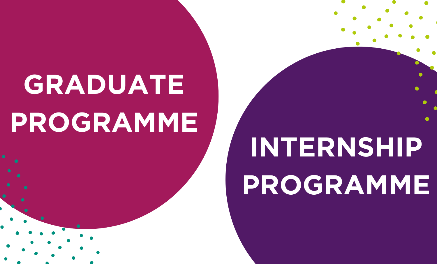 Graduate and Internship Programme inside crimson and purple circles