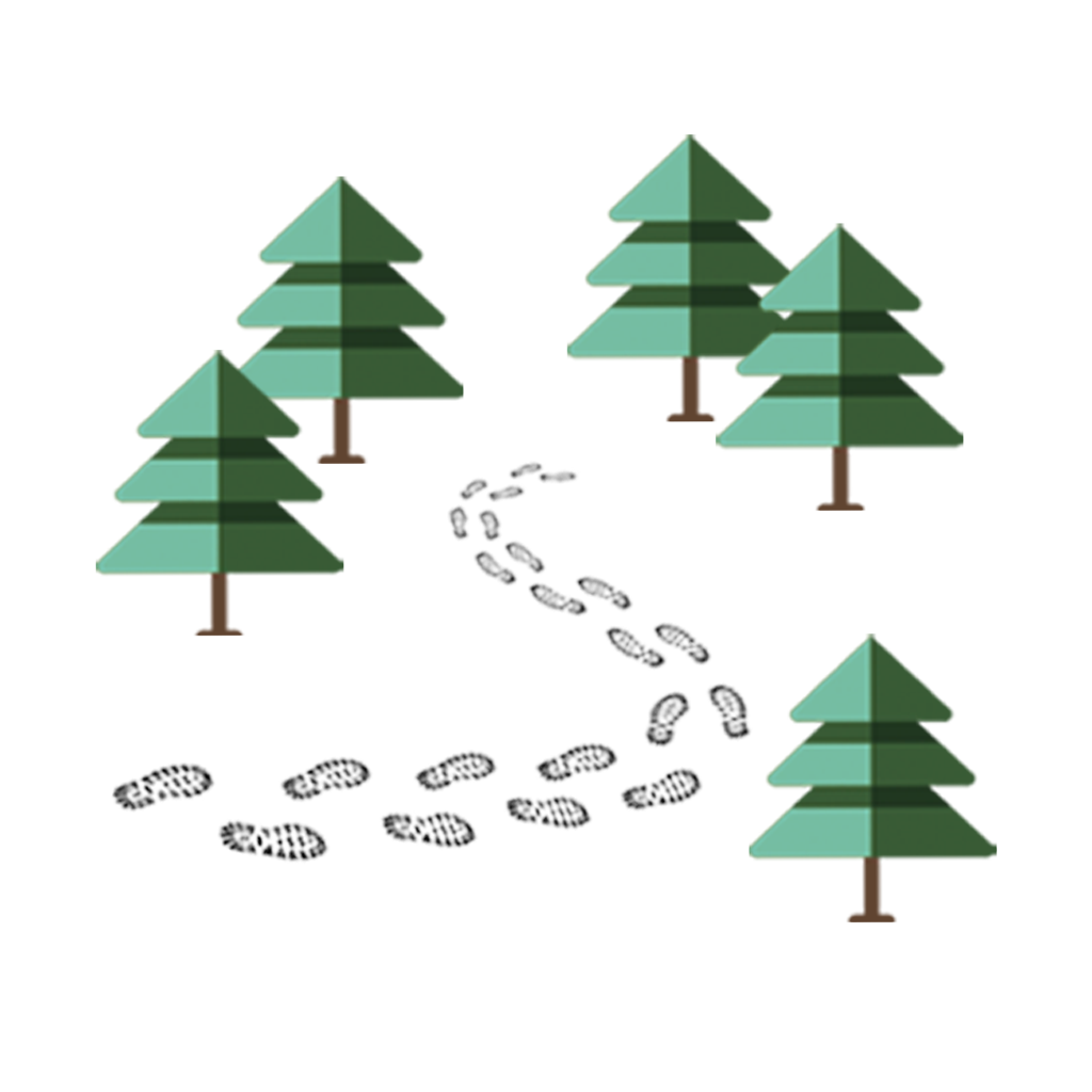Forest Pathway