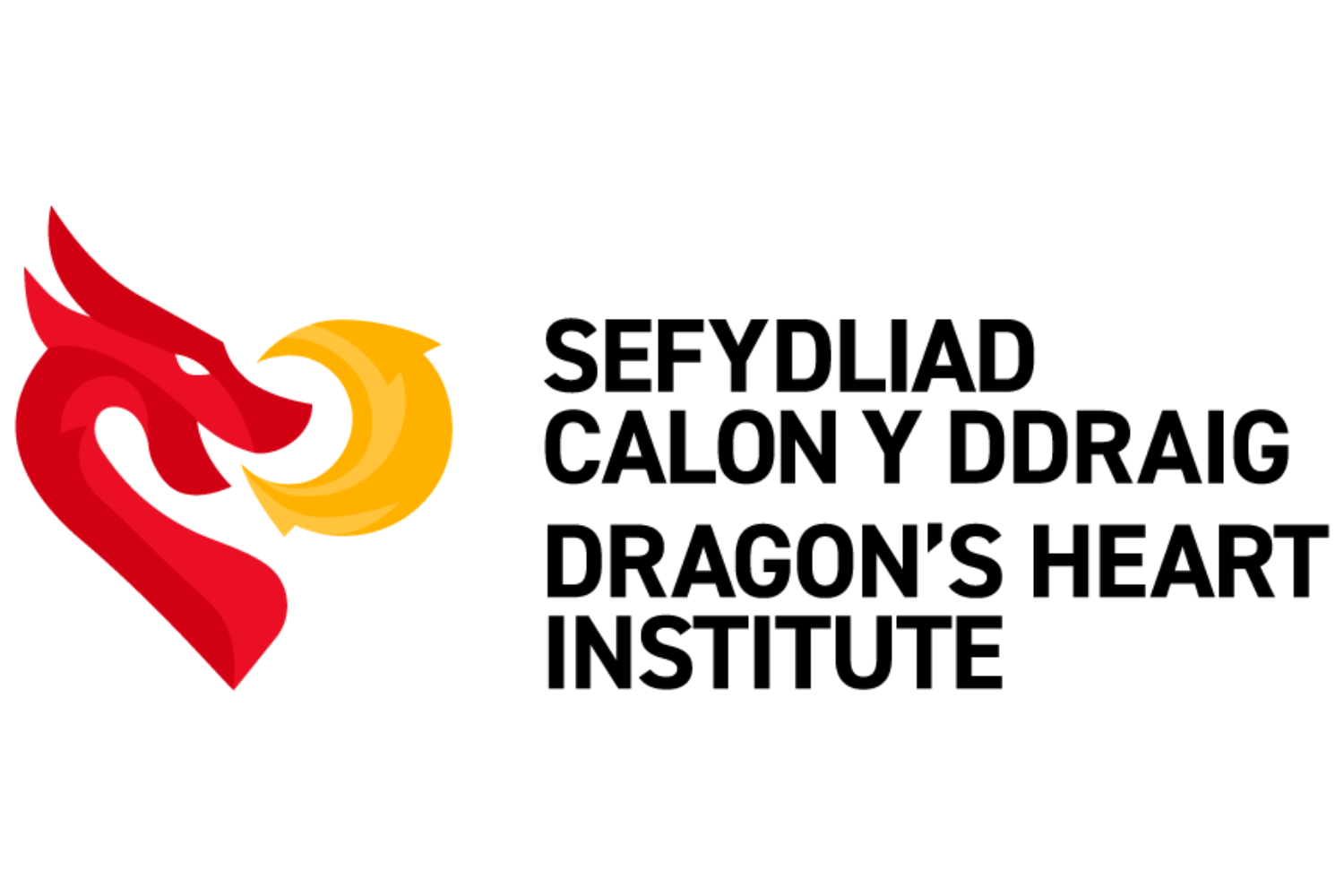 Dragon's Heart Institute