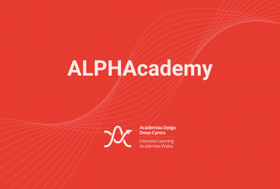 Click here to find out more about the APHAcademy
