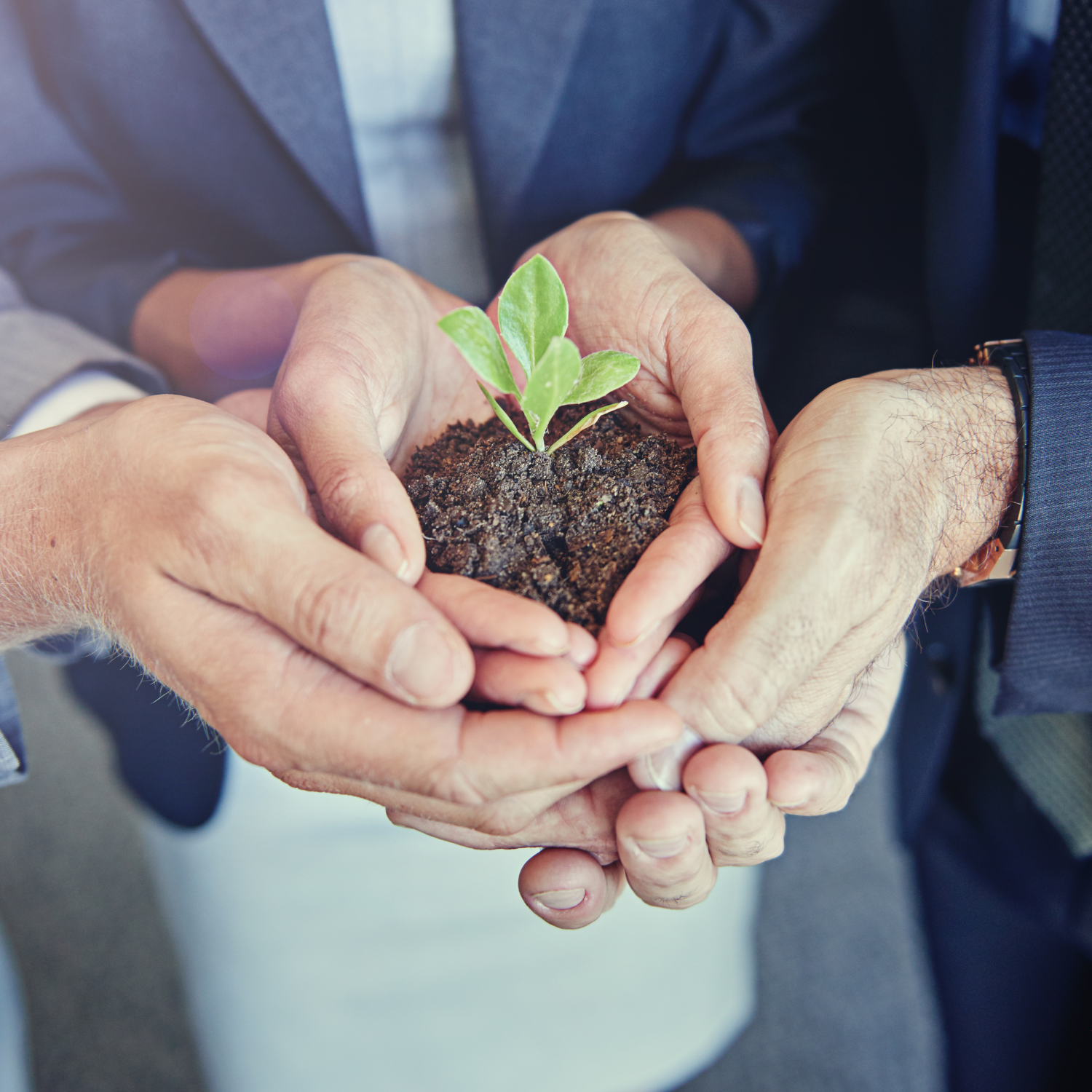 hands holding soil with plant