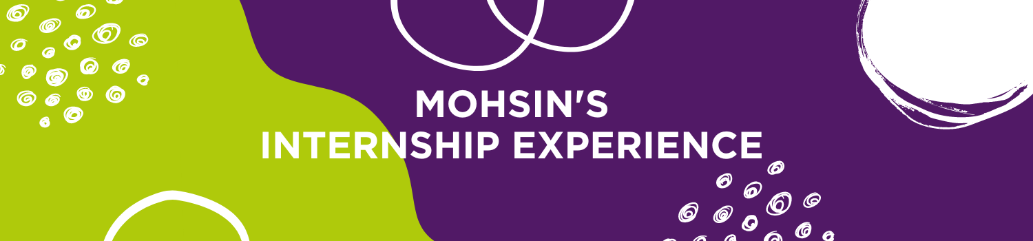 Mohsin's Intern Experience