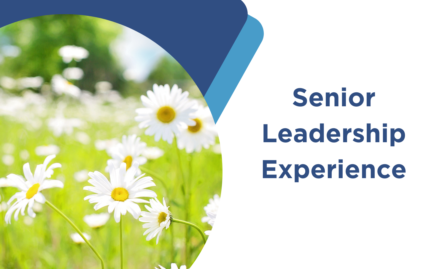 Senior Leadership Experience