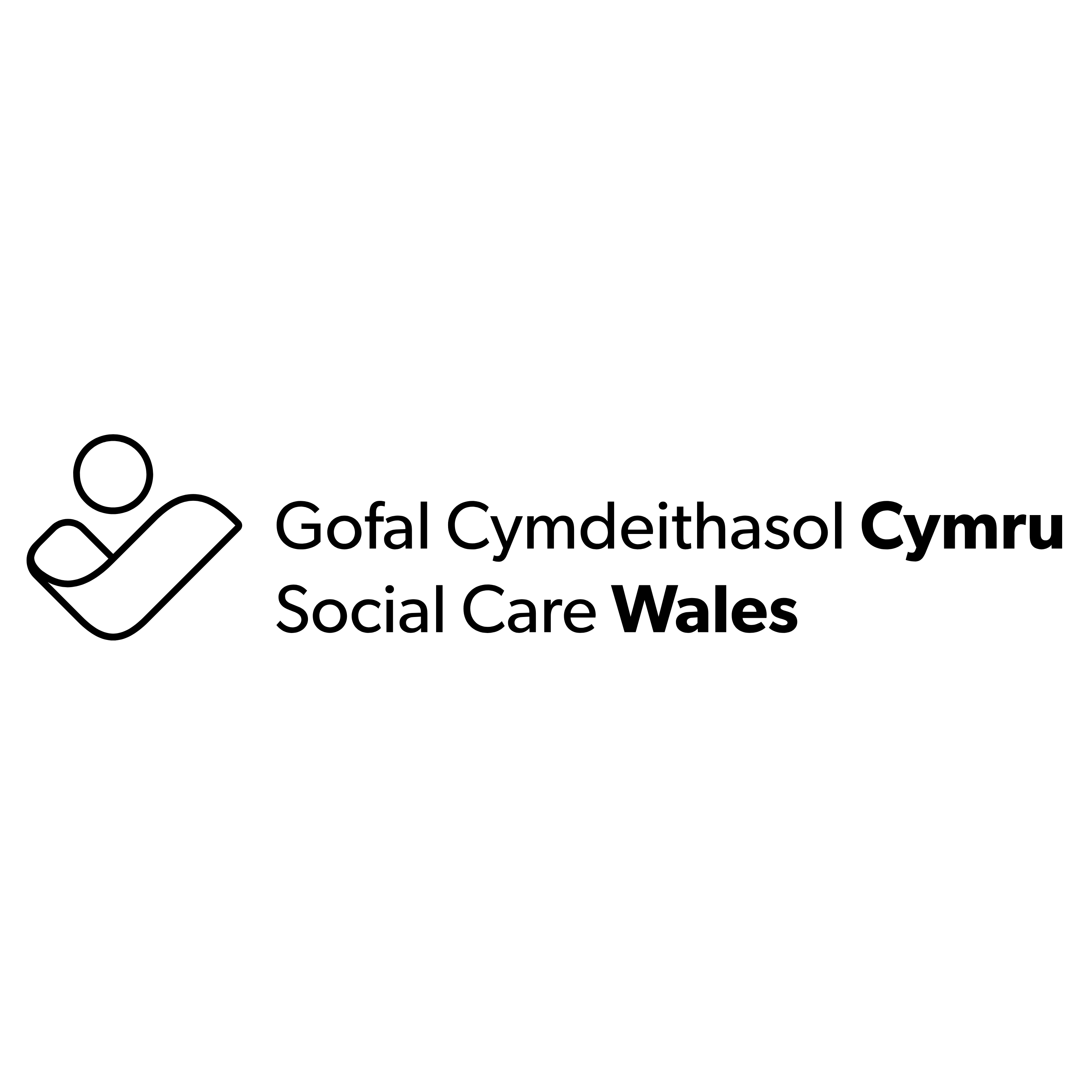 social care logo