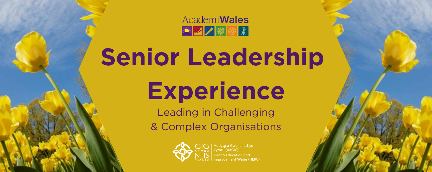 banner of Senior Leadership Experience
