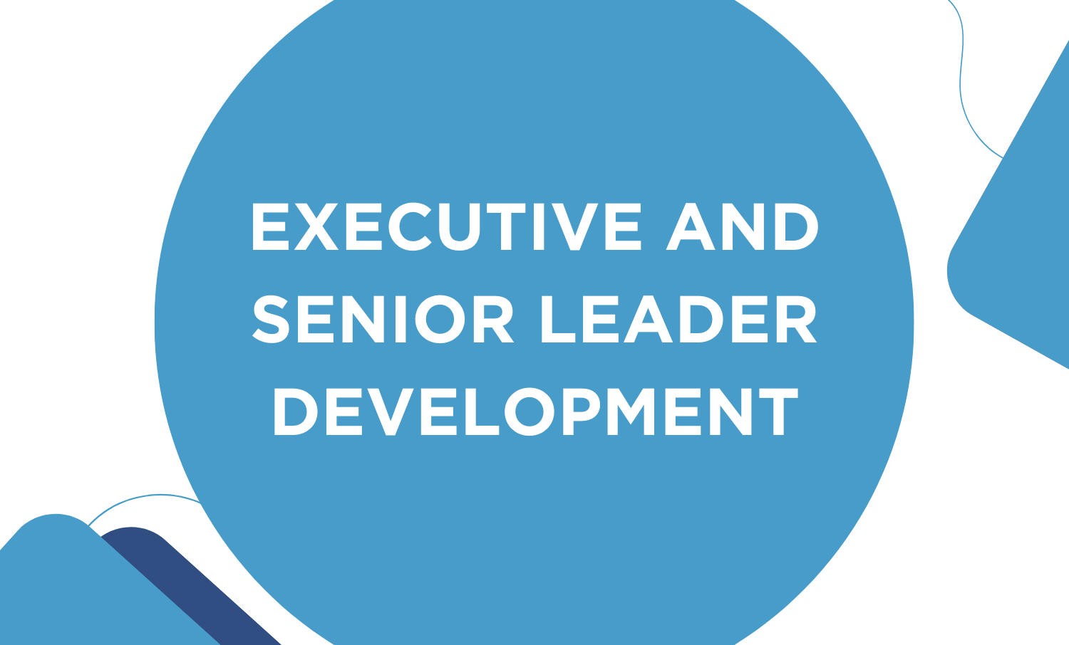 Executive and Senior Leader Development inside light blue circle