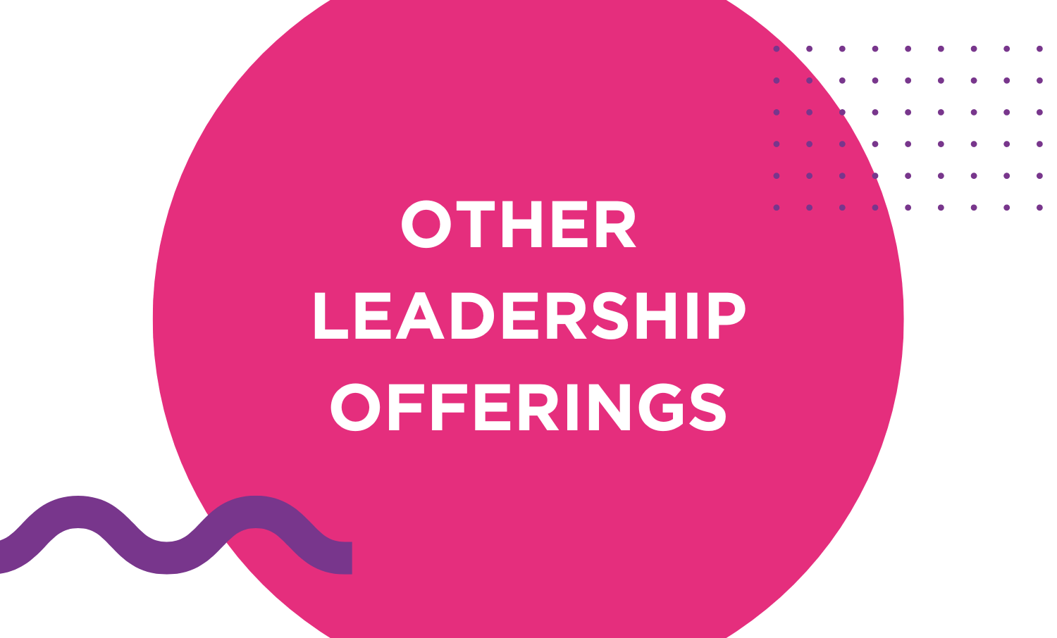 Other Leadership Offerings inside pink circle