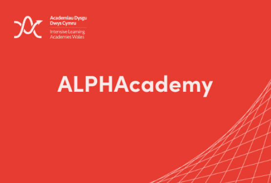Click here to find out more about the APHAcademy