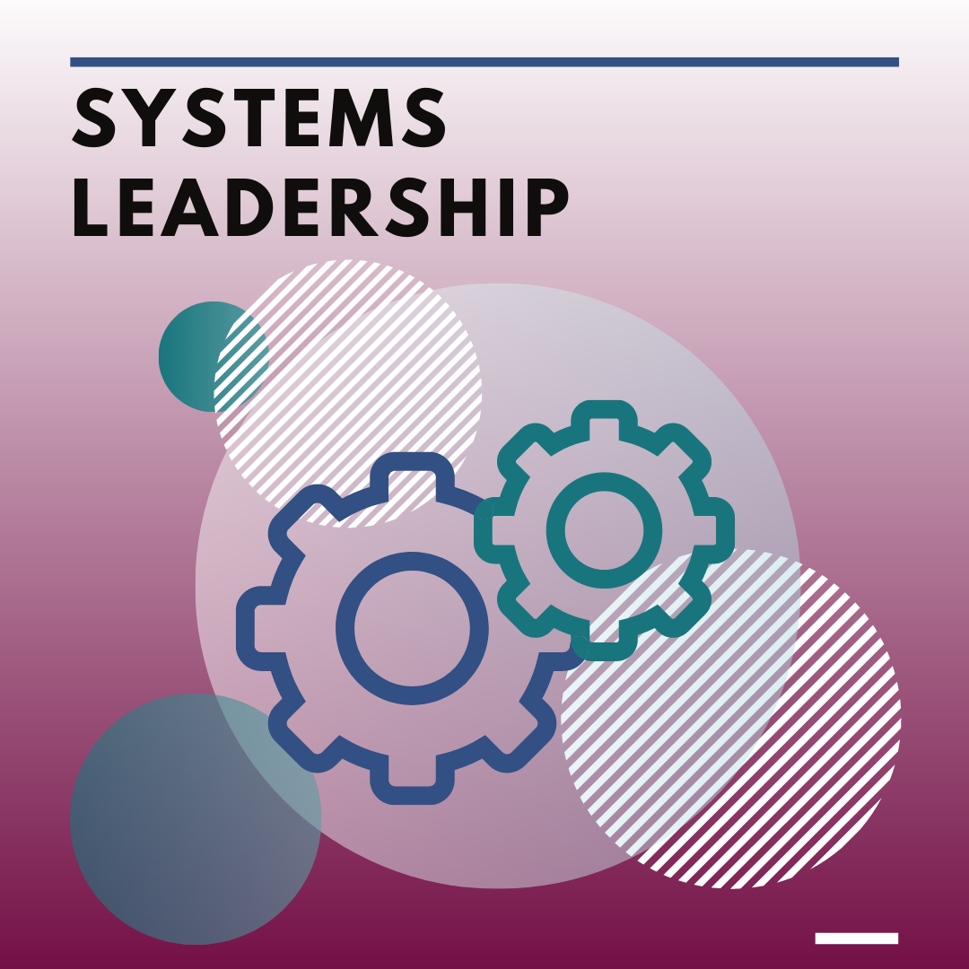 Systems Leadership icon