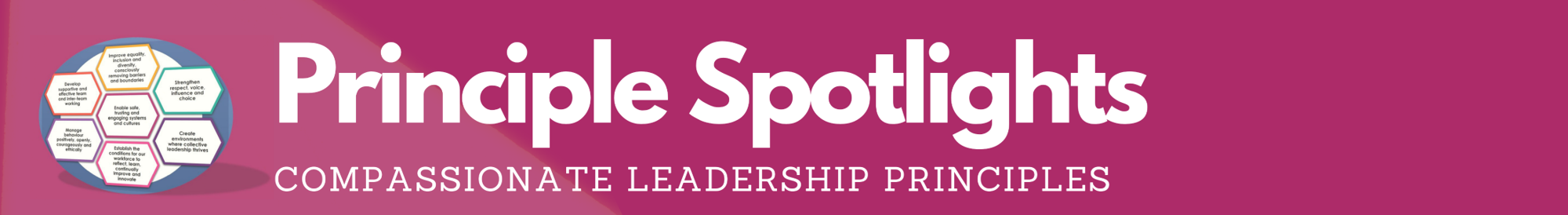 Principle Spotlights, Compassionate Leadership Principles
